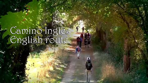 camino translate to english|el camino translation to english.